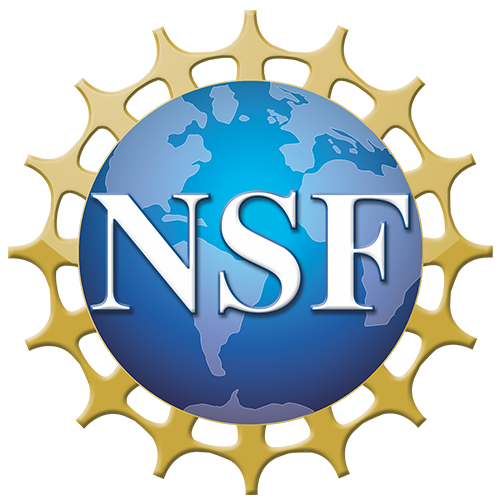 NSF logo