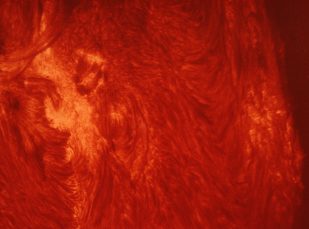 A color-enhanced close-up photo of our Sun