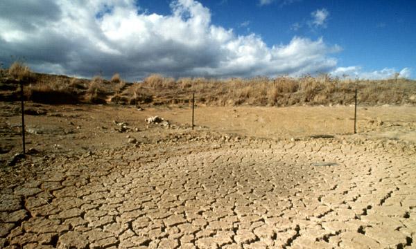 A drought-stricken landscape