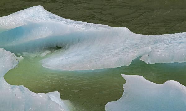 An iceberg from the Serrano Glacier