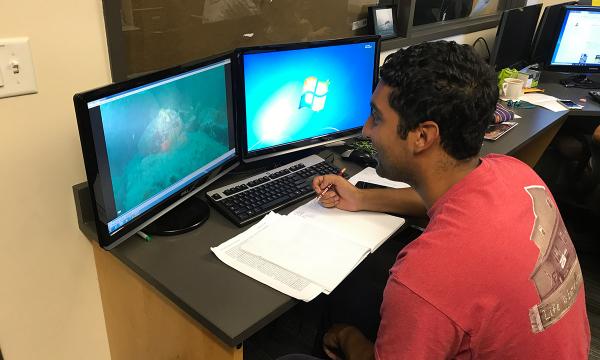 REU student works from their computer