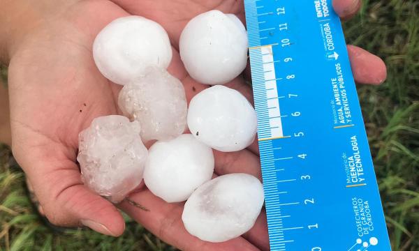 A scientist holds golf ball sized hail that fell during a storm in Argentina