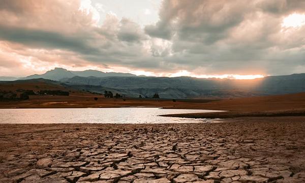 Mud-cracked earth